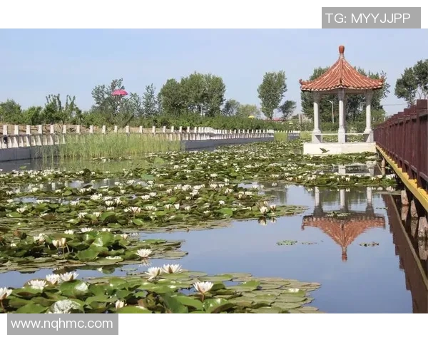 水泥厂退出，西涅生态环境迎来新变化，成为生态休闲度假胜地